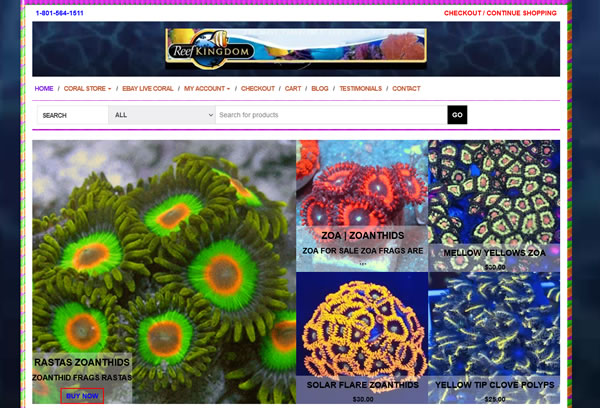Website Design Coral Store
